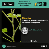 PA149-Destrinchando a Fisiologia de Plantas - Citocinina, o hormonio da multiplicacao celular e da morfogenese