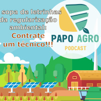 PA06 - A sopa de letrinhas da regularização ambiental: Contrate um técnico!