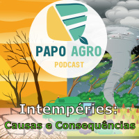 PA11 - Intempéries: Causas e Consequências