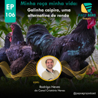 PA106 - Minha roça, minha vida: Galinha Caipira