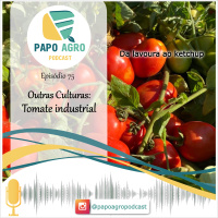 PA75 - Outras Culturas: Tomate industrial, da lavoura ao ketchup
