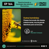 PA164 - Interação entre hormônios: Outros Hormônios