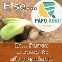 PA08 - E se… Ih Ferrou, a semente não germinou!