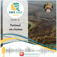 PA83 - Pantanal em chamas 