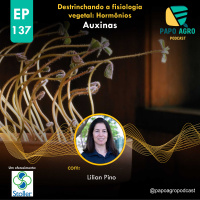 PA137 - Destrinchando a fisiologia de plantas - AUXINAS