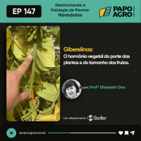PA147 - Destrinchando a Fisilogia de Plantas: Hormônios vegetais - Giberelinas