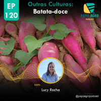 PA120 - Outras Culturas: Batata-doce