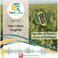 PA60 - Outras Culturas: Gergelim, algo além do temaki e do pão de hambúrguer