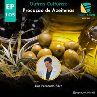 PA105-Outras culturas - Produção de Azeitonas