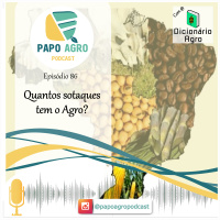 PA86 - Quantos sotaques tem o agro? 