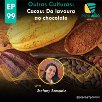 PA99 - Outras Culturas - Cacau: Da lavoura ao chocolate