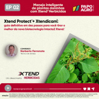 PA - Xtend Programa 02 - Xtend® Protect + Xtendicam®: guia definitivo de dez passos para você tirar o melhor da nova biotecnologia Intacta2 Xtend®.