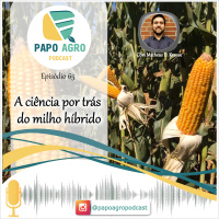 PA65 - A ciência por trás do milho híbrido