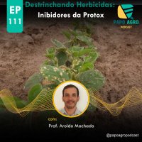PA111 -Destrinchando Herbicidas: Inibidores da PROTOX