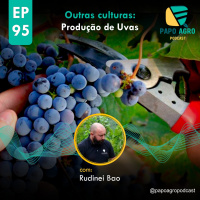 PA95 - Outras culturas - Produção de Uvas