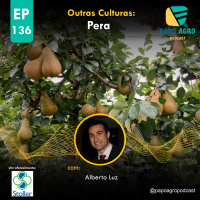PA136 - Outras Culturas - PERA