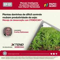PA - Xtend Programa 01 - Plantas daninhas de difícil controle roubam produtividade da soja: manejo de dessecação com Xtendicam