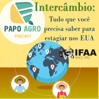PA36 - Intercâmbio: Tudo que você precisa saber para estagiar nos EUA