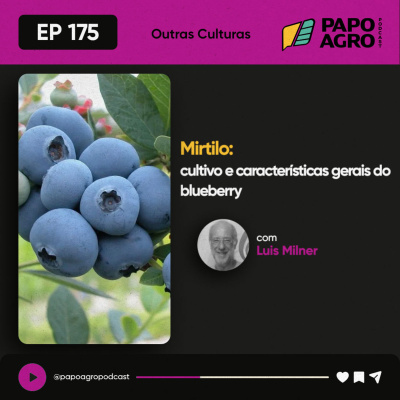 Papo Agro Podcast: Vamos Falar Sobre O Agro?