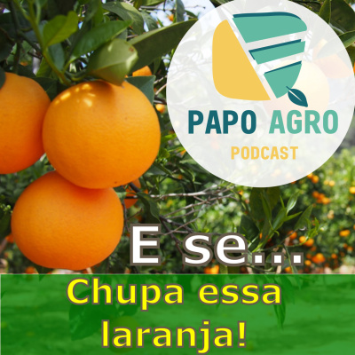 Papo Agro Podcast: Vamos Falar Sobre O Agro?