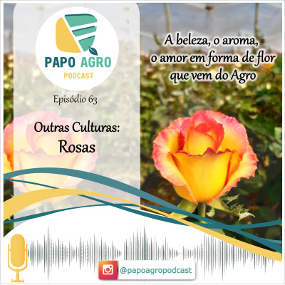 Papo Agro Podcast: Vamos Falar Sobre O Agro?