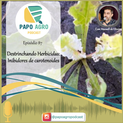 Papo Agro Podcast: Vamos Falar Sobre O Agro?