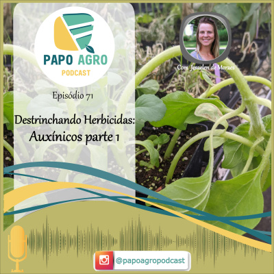 Papo Agro Podcast: Vamos Falar Sobre O Agro?