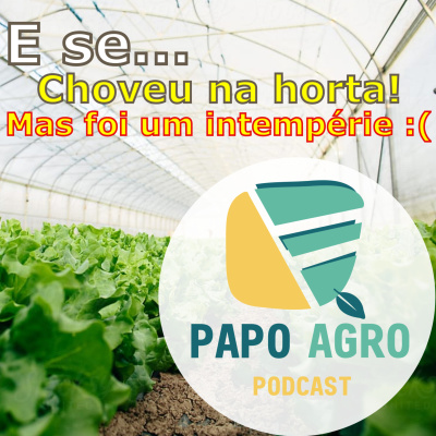 Papo Agro Podcast: Vamos Falar Sobre O Agro?