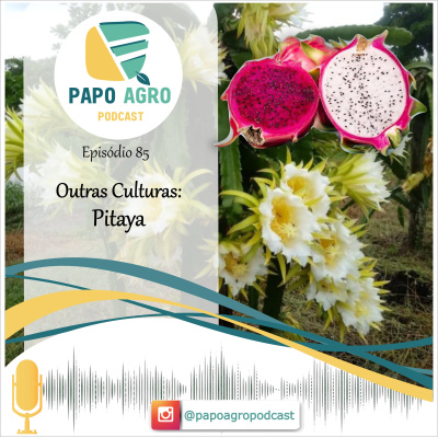 Papo Agro Podcast: Vamos Falar Sobre O Agro?