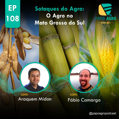 Papo Agro Podcast: Vamos Falar Sobre O Agro?