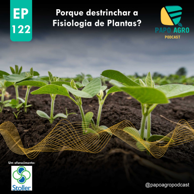 Papo Agro Podcast: Vamos Falar Sobre O Agro?