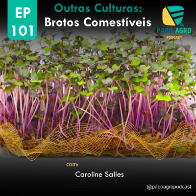 Papo Agro Podcast: Vamos Falar Sobre O Agro?