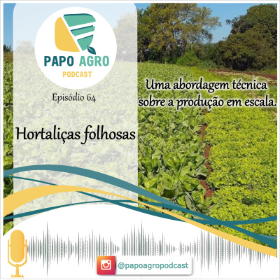Papo Agro Podcast: Vamos Falar Sobre O Agro?