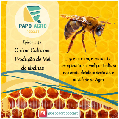 Papo Agro Podcast: Vamos Falar Sobre O Agro?