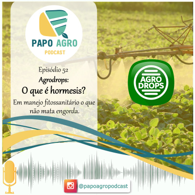 Papo Agro Podcast: Vamos Falar Sobre O Agro?