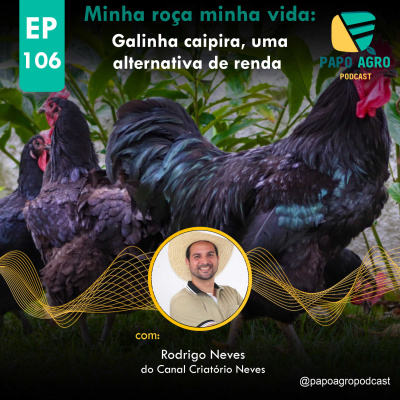Papo Agro Podcast: Vamos Falar Sobre O Agro?
