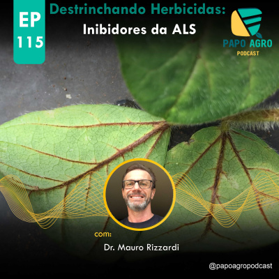 Papo Agro Podcast: Vamos Falar Sobre O Agro?