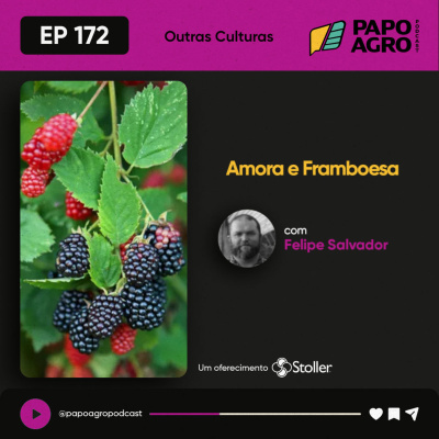 Papo Agro Podcast: Vamos Falar Sobre O Agro?