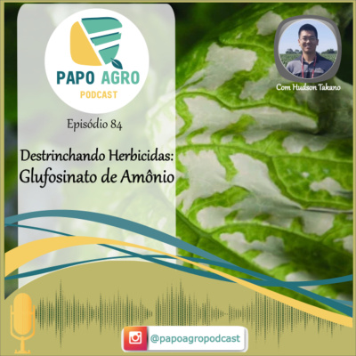 Papo Agro Podcast: Vamos Falar Sobre O Agro?