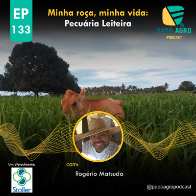 Papo Agro Podcast: Vamos Falar Sobre O Agro?