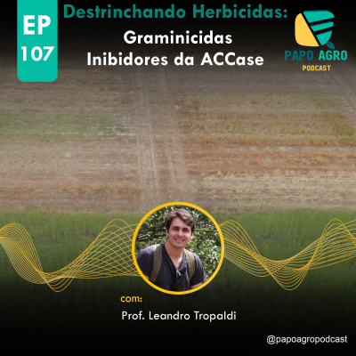 Papo Agro Podcast: Vamos Falar Sobre O Agro?