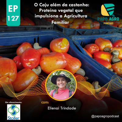 Papo Agro Podcast: Vamos Falar Sobre O Agro?