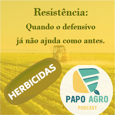 Papo Agro Podcast: Vamos Falar Sobre O Agro?