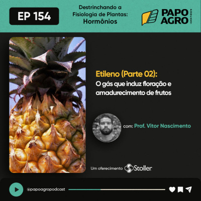Papo Agro Podcast: Vamos Falar Sobre O Agro?
