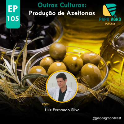 Papo Agro Podcast: Vamos Falar Sobre O Agro?