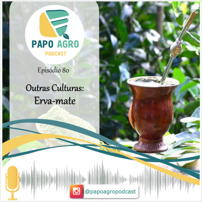 Papo Agro Podcast: Vamos Falar Sobre O Agro?