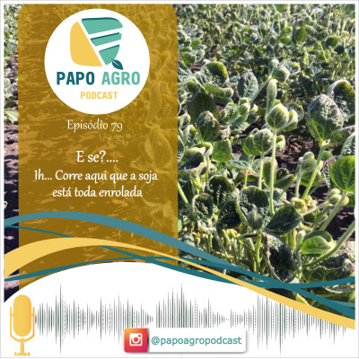 Papo Agro Podcast: Vamos Falar Sobre O Agro?