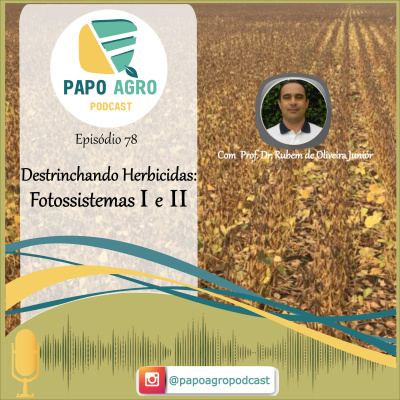 Papo Agro Podcast: Vamos Falar Sobre O Agro?