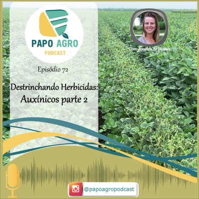Papo Agro Podcast: Vamos Falar Sobre O Agro?