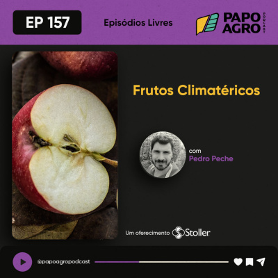 Papo Agro Podcast: Vamos Falar Sobre O Agro?